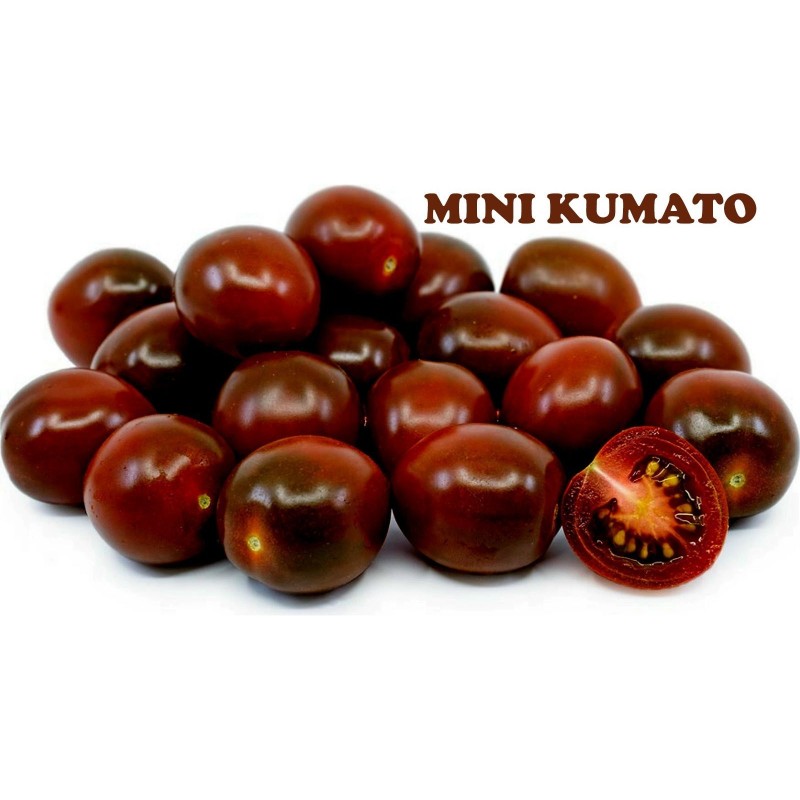 Kumato Mini Schwarzkirschtomate Samen | Seeds Shop Store