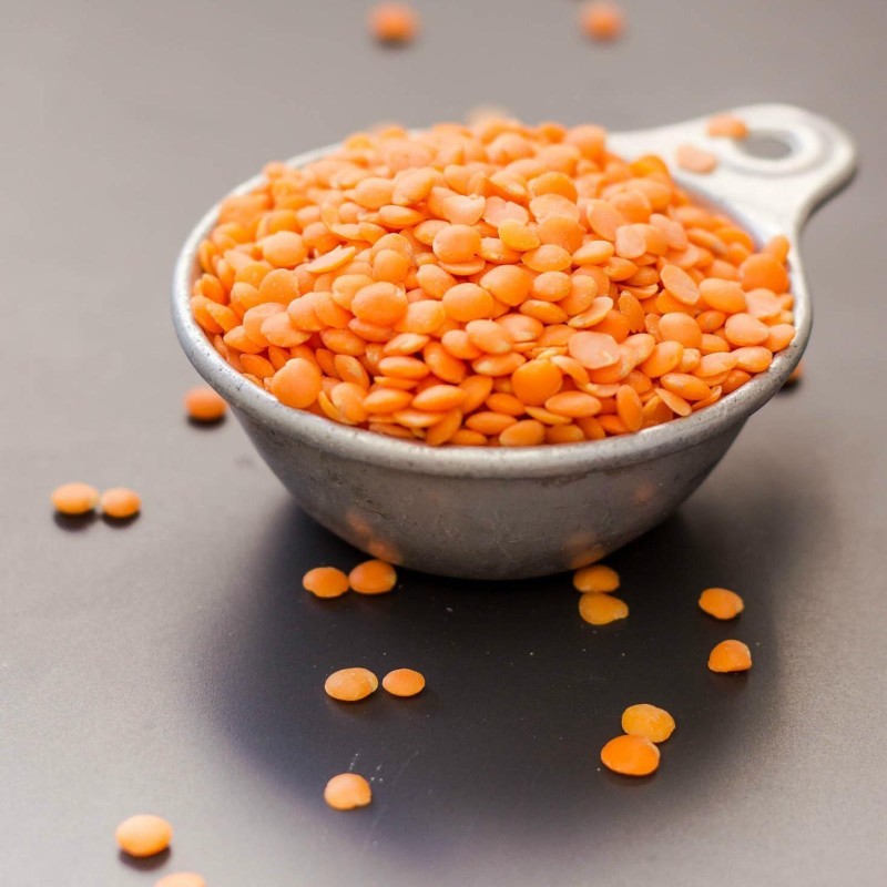 Red Lentil Bolognaise Seeds (Lens culinaris) | Seeds Shop Store