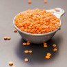 Red Lentil Bolognaise Seeds (Lens culinaris) | Seeds Shop Store