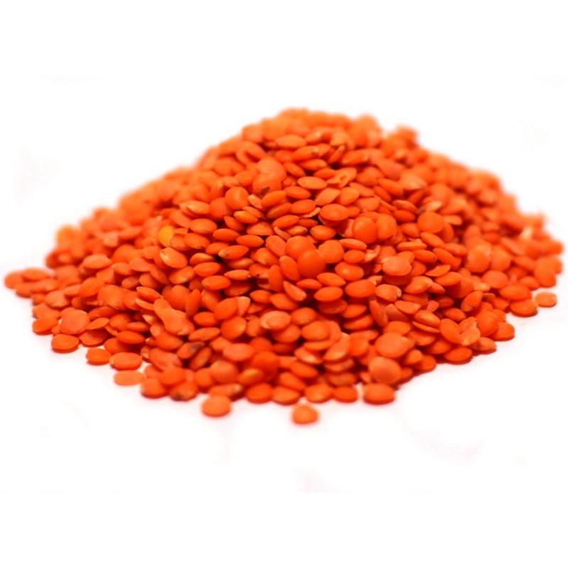 Red Lentil Bolognaise Seeds (Lens culinaris) | Seeds Shop Store