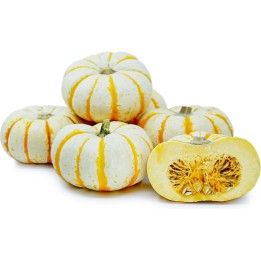 LIL' PUMP-KE-MON Pumpkin Seeds - 1.755