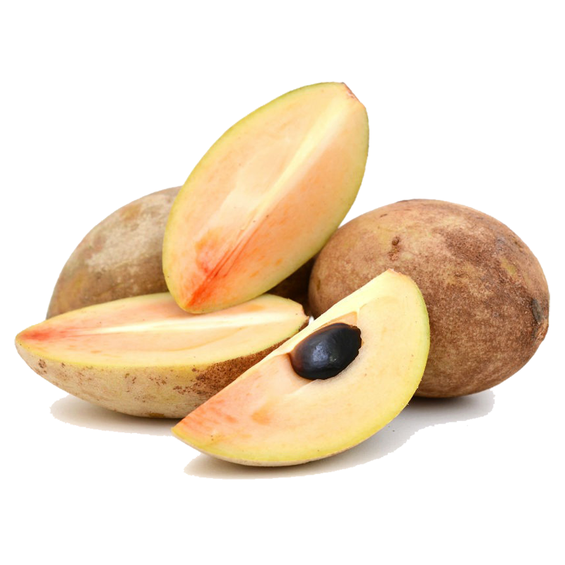Sapote - Kaugummibaum Samen | Seeds Shop Store
