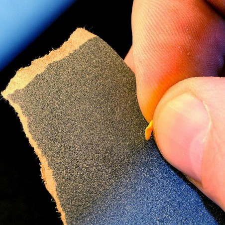 Plant seeds scarification | Seeds Shop Store