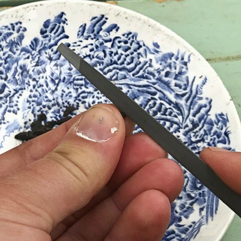 Plant seeds scarification | Seeds Shop Store