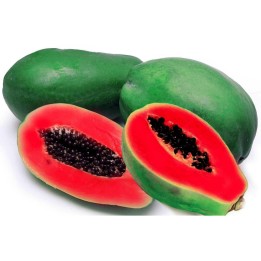 Red Papaya Seeds Rare (Carica papaya) - 2.025