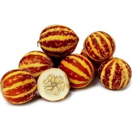 Semillas De Melon Tigre (Tigger Melon) - 580.583396