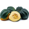 Sementes Abóbora Acorn - Abóbora Bolota | Seeds Shop Store