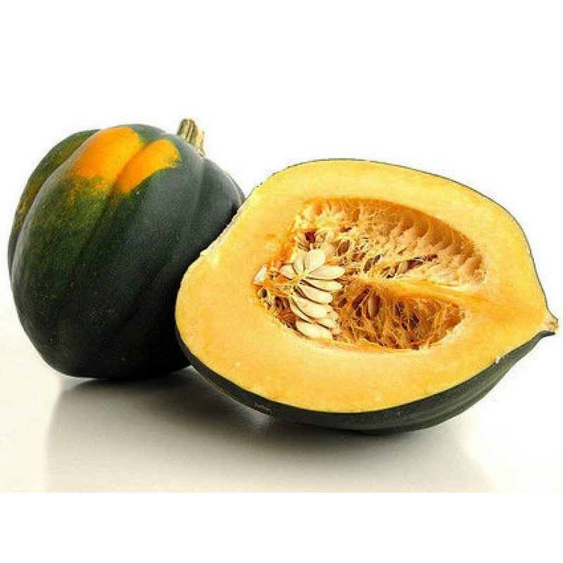 Sementes Abóbora Acorn - Abóbora Bolota | Seeds Shop Store