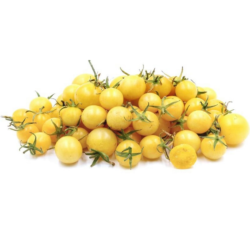 Snow White Cherry Tomato Seeds | Seeds Shop Store