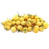 Snow White Cherry Tomato Seeds | Seeds Shop Store