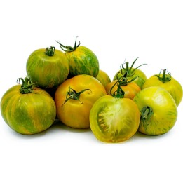 Semillas de tomate Green Zebra - 252.172586