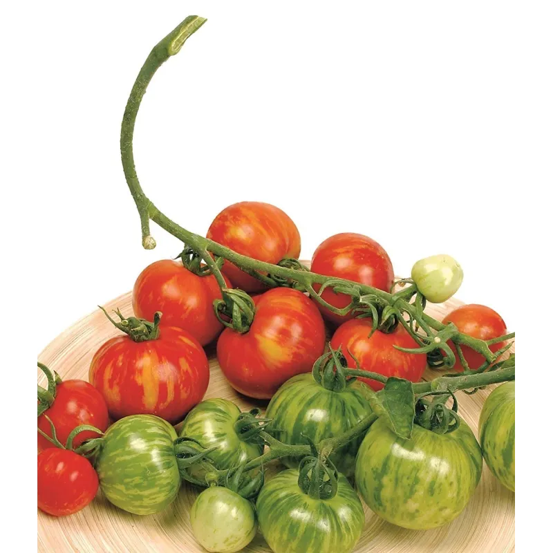 Tigerella Tomato seeds | Seeds Shop Store