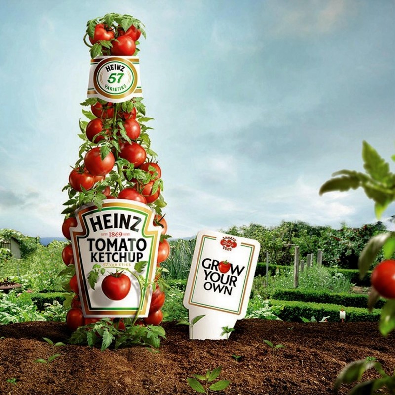 Heinz 1350 Tomato Seeds | Seeds Shop Store