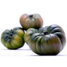 Raf Tomaten Samen | Seeds Shop Store