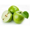 Granny Smith Apfel Samen (Malus sylvestris) | Seeds Shop Store