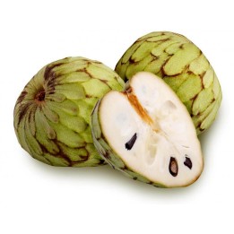 Cherimoya, Zucker Apfel Samen (Annona cherimola) - 498.480694