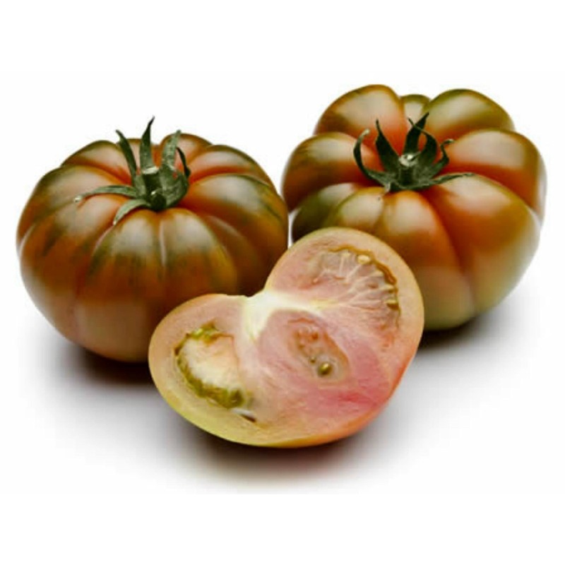 Costoluto Pachino Tomatensamen – Toamaten aus Siz. | Seeds Shop Store