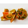 Costoluto Pachino Tomatensamen – Toamaten aus Siz. | Seeds Shop Store