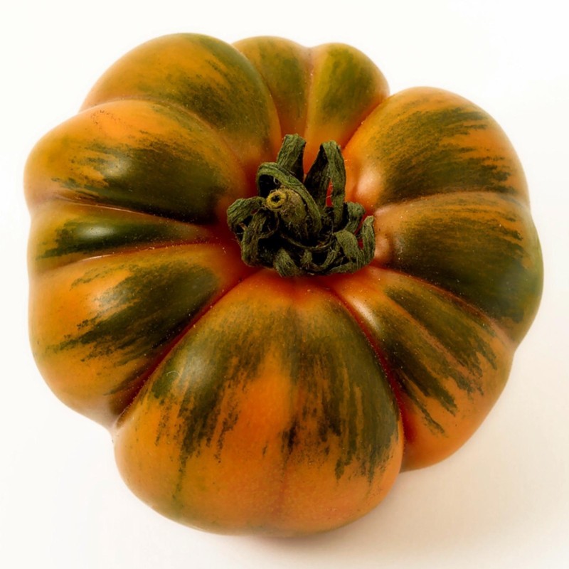 Costoluto Pachino Tomatensamen – Toamaten aus Siz. | Seeds Shop Store