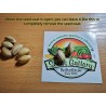 Pistachio seeds Greek variety Aegina (Pistacia vera) | Seeds Shop Store