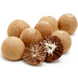 Betel Orah – Palma Seme (Areca Catechu) - 4.365