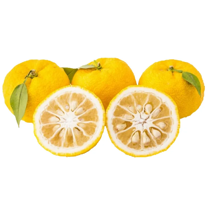 Yuzu Seme Japanski citrus -20 ° C (Citrus junos) | Seeds Shop Store