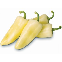 Semi di peperoni ungheresi Syn. Cecei - 1.755