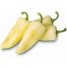 Syn. Cecei Hungarian Heirloom Pepper Seeds | Seeds Shop Store