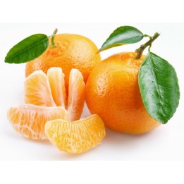 Sementes de Tangerina, laranja-mimosa (Citrus reticulata) - 240.443511