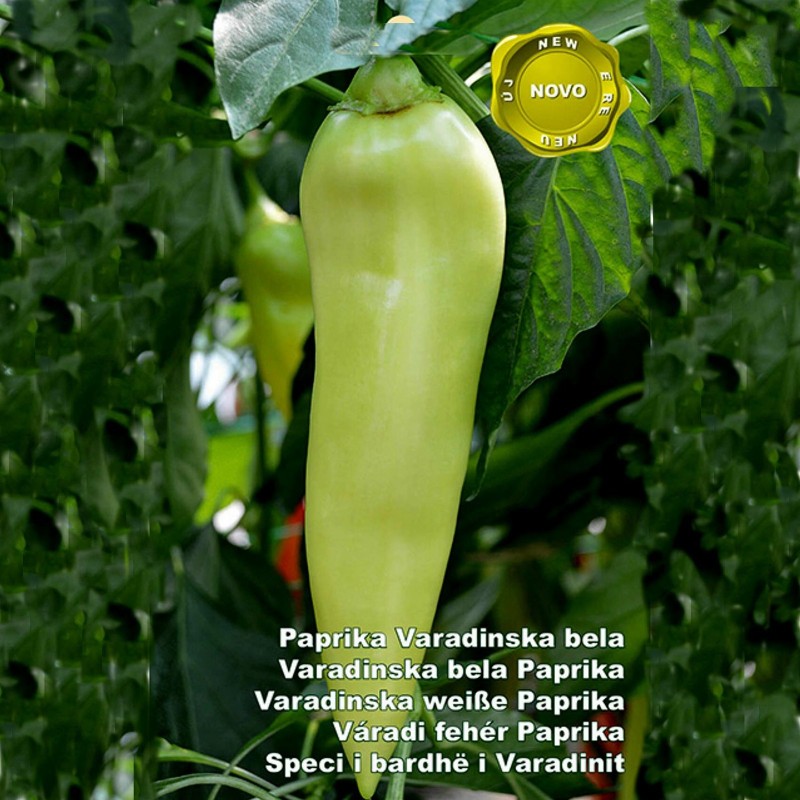 Σπόροι γλυκού πιπεριού Varadinska White | Seeds Shop Store
