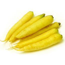 Giant Yellow Carrot Seeds - 263.901544