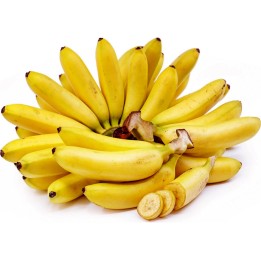 Balbisbanan Fröer (Musa balbisiana) - 2.925
