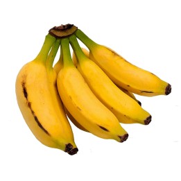 Ädelbanan Frön (Musa acuminata) - 2.295