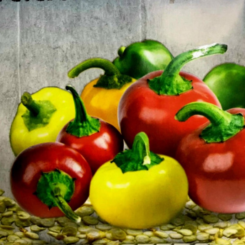 Rainbow Cherry Chili Seeds | Seeds Shop Store