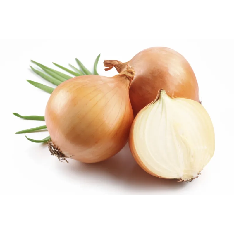 Kupusinski Jabucar Onion Seeds | Seeds Shop Store