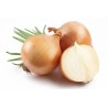 Kupusinski Jabucar Onion Seeds | Seeds Shop Store