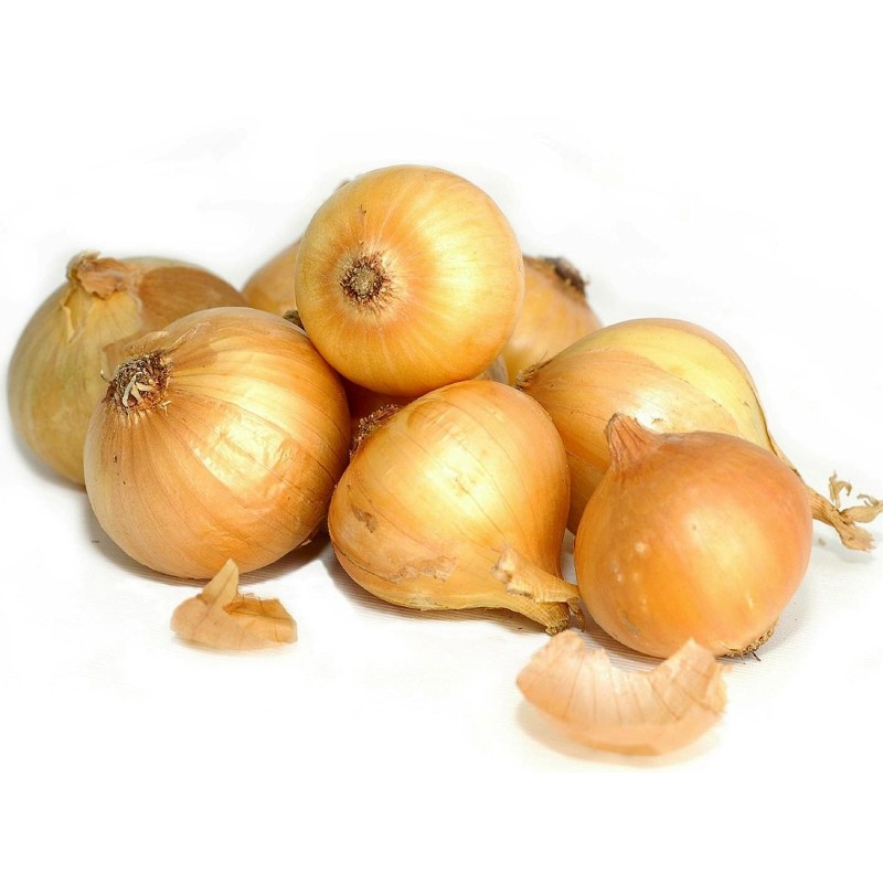 Kupusinski Jabucar Onion Seeds | Seeds Shop Store
