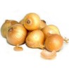 Kupusinski Jabucar Onion Seeds | Seeds Shop Store