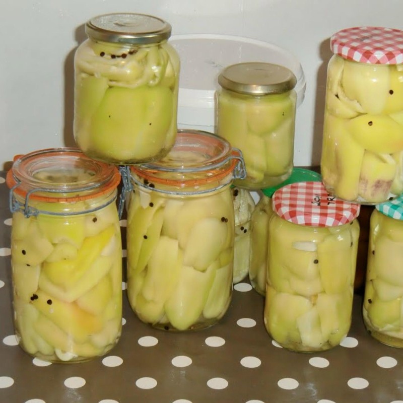 Semi di peperone Matica | Seeds Shop Store