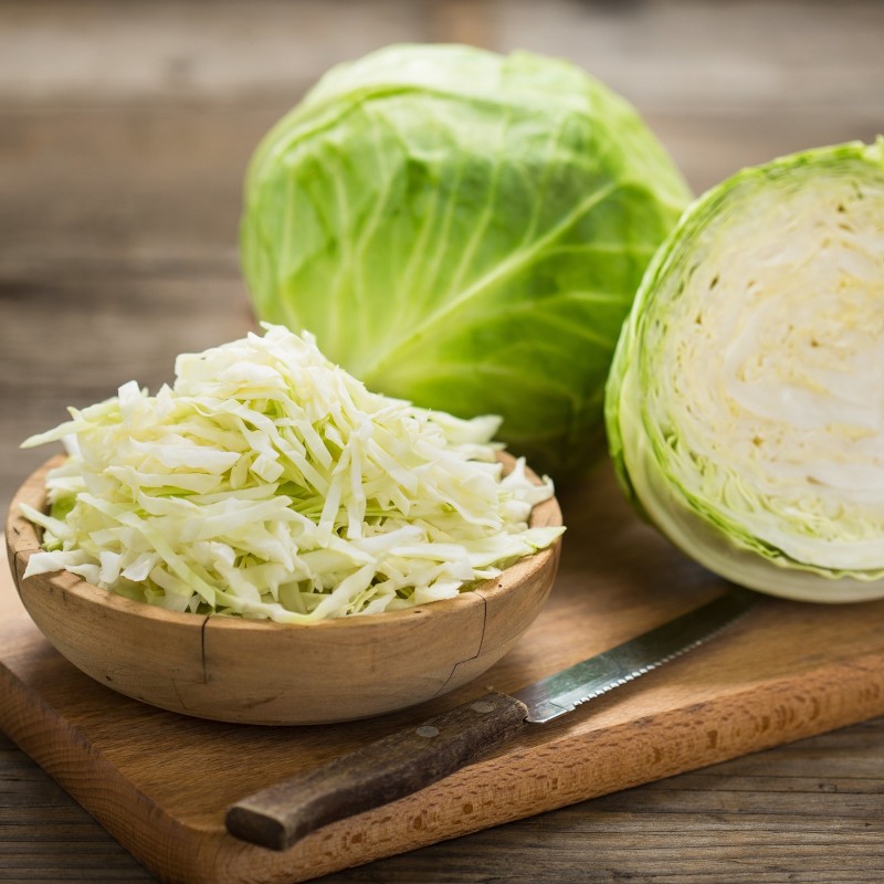 Semi di cavolo Ditmar | Seeds Shop Store