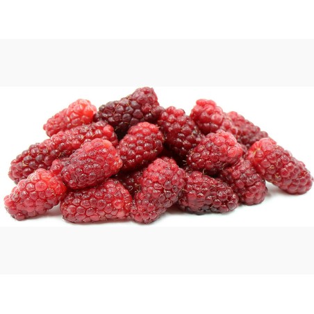 Sementes de TAYBERRY Amora-Framboesa | Seeds Shop Store