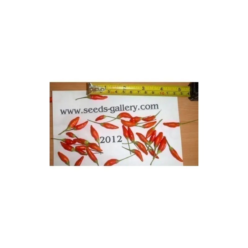 Semi di peperoncino Numex Twilight | Seeds Shop Store