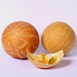 Semi di Coloquintide (Citrullus colocynthis) - 1.755