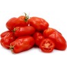 Tomato Seeds SAN MARZANO 2 | Seeds Shop Store
