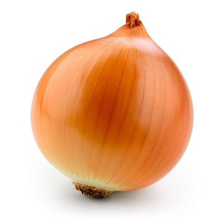 Kupusinski Jabucar Onion Seeds | Seeds Shop Store