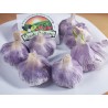 Spanish Roja Garlic Cloves | Seeds Shop Store