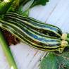 Striato di Napoli Zucchini frön | Seeds Shop Store