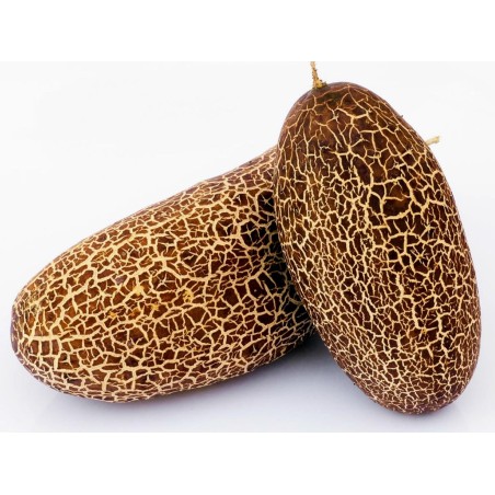 Sikkim Krastavac Seme | Seeds Shop Store