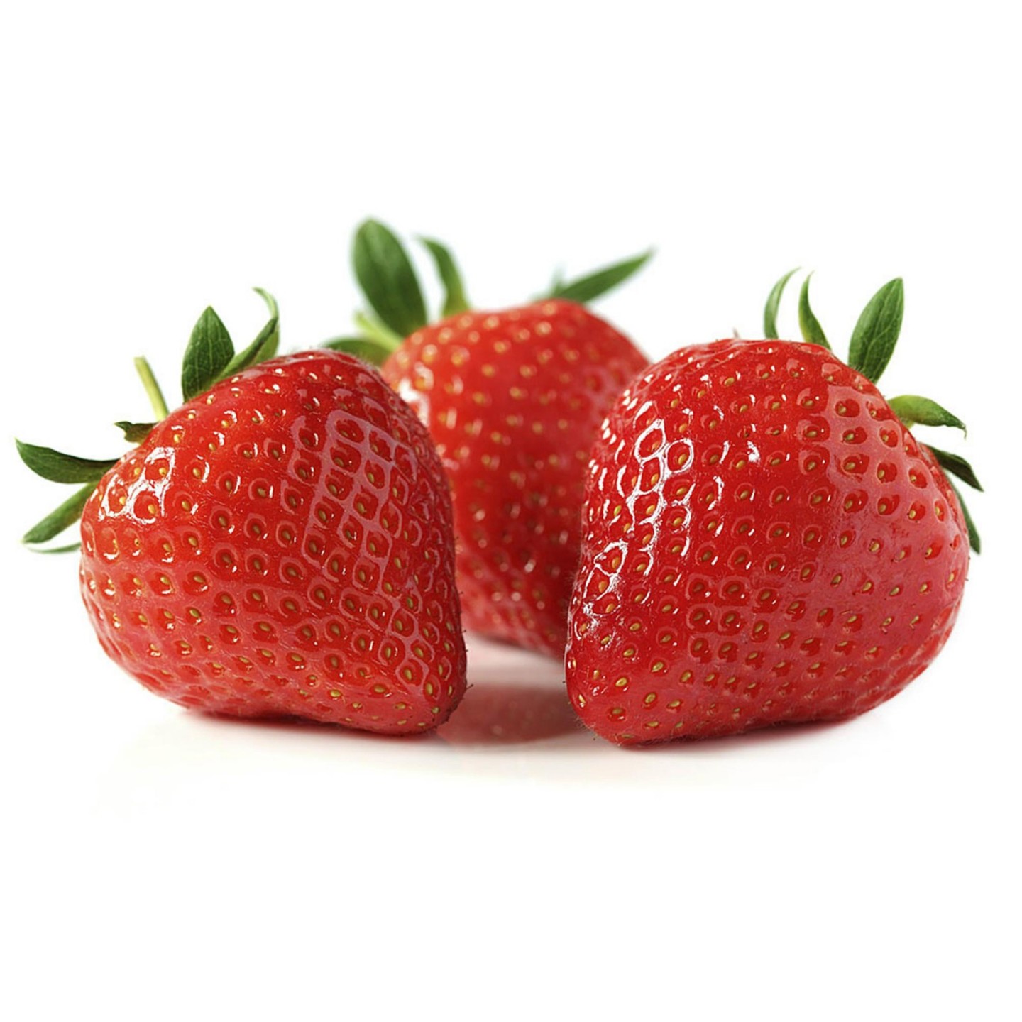 Alba Strawberry Seeds | Heirloom, organic & exotic seeds | Exotic Seeds Shop