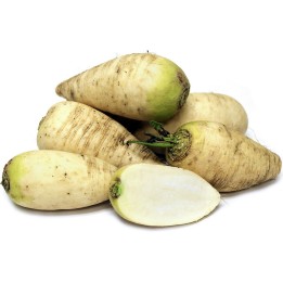 Semințe de ridichi Munich Beer - 1.95